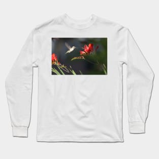 850_5913 Long Sleeve T-Shirt